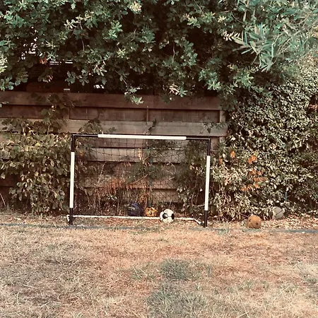Maison 8 Pers Et Foret Je Me Ressource